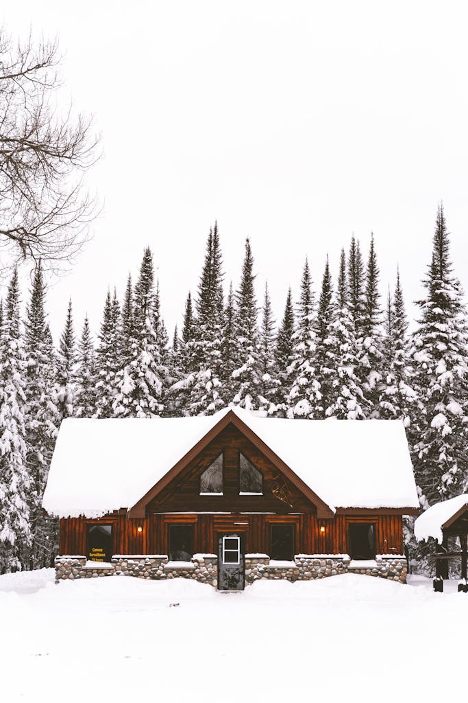 Wooden cabin nestled in a snowy forest surrounded by coniferous trees.